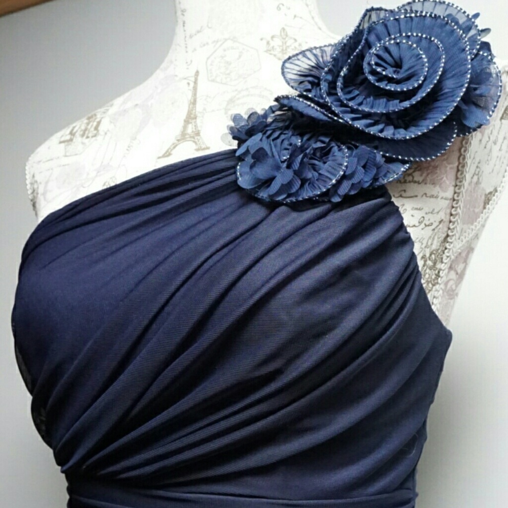 Navy Dollar dress